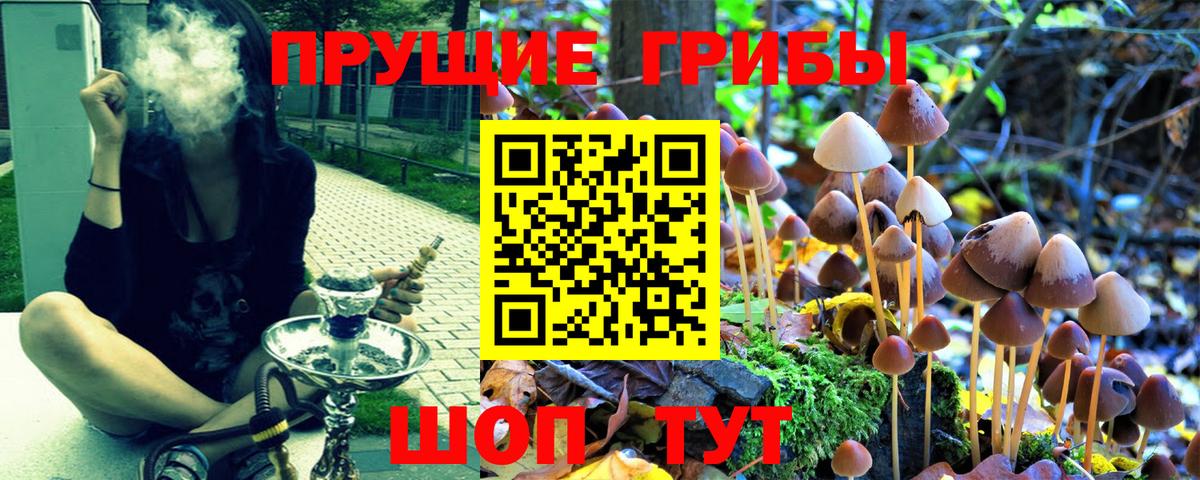 Галлюциногенные грибы Psilocybine cubensis Наро-Фоминск