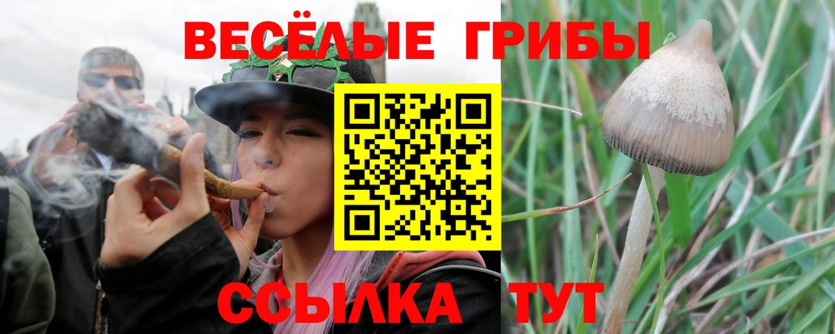 магазин  наркотиков  Вход с VPN  Наро-Фоминск  Галлюциногенные грибы Magic Shrooms 