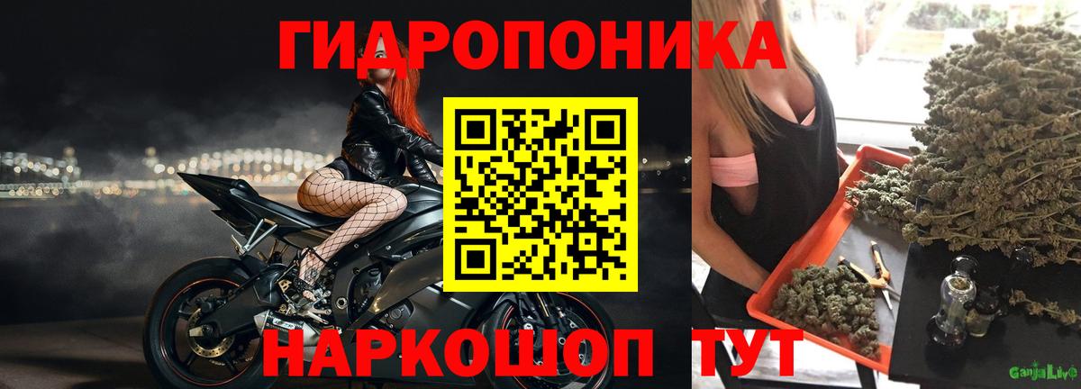 Наро-Фоминск  МАРИХУАНА Ganja  Бошки марихуана план  Каннабис AK-47  Вход с VPN 